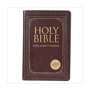 KJV Deluxe Gift & Award Bible (DiCarta Pink)